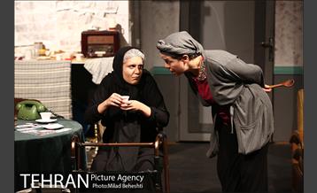 نمایش اثر پرتوهای گاما بر گل های همیشه بهار 11