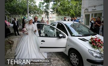 جشن ازدواج دو کارتن خواب بهبود یافته 3