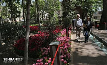 باغ ایرانی میزبان لاله‌ها 45