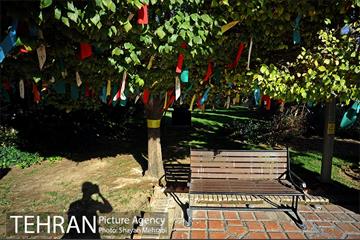 بوستان هنرمندان (ایرانشهر) 25