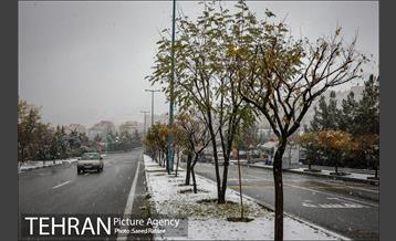 بارش نخستین برف پاییزی در تهران 11