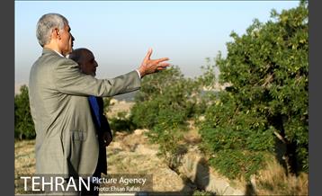 بازدید شهردار تهران از طرح‌های جنگل کاری شمال تهران  16