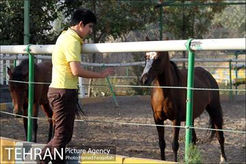 سوارکاری ورزشی برای کودکان‎ 19