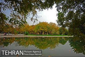 باغ گیاه‌شناسی ملی ایران 41