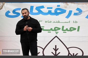کاشت 2000 نهال مثمر در بوستان جنگلی چیتگر 32