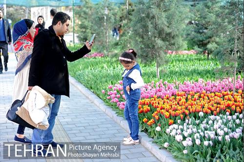 پیاده راه لاله مادران 49