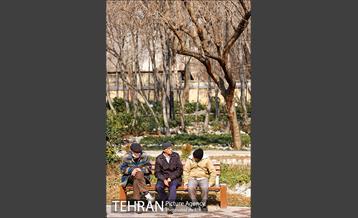 باغ ایرانی 32