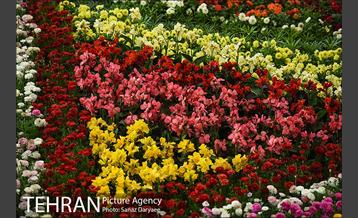 شانزدهمین نمایشگاه گل و گیاه تهران 25