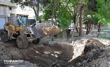 احداث نخستین گذرگاه عابر پیاده در منطقه 18 پایتخت 7