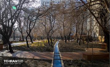 باغ گلاریس 48