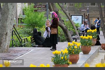 تور عکاسی از باغ ایرانی 11