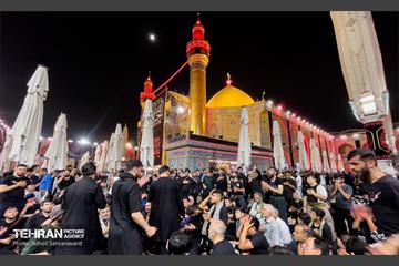 حرم مطهر امام علی (ع) در آستانه اربعین حسینی 28