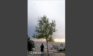 آماده سازی بخش های جدید بوستان پرواز 6