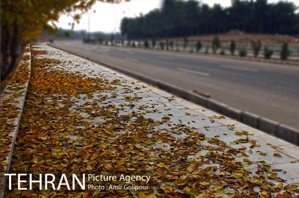 با برگهای پاییزی 12