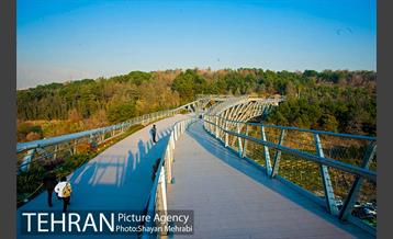 پاییز پل طبیعت 16
