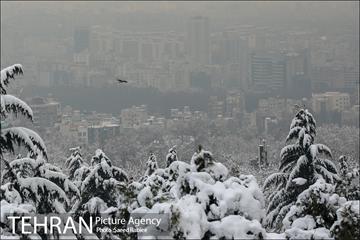 برف زمستانی پارک جمشیدیه 14