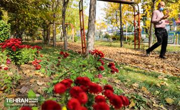 سمفونی رنگ های پاییزی - بوستان اندیشه 5