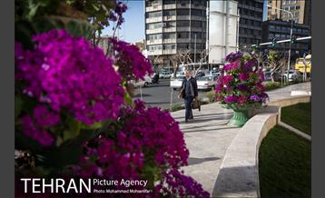آماده سازی تهران در آستانه نوروز ۹۸ 15