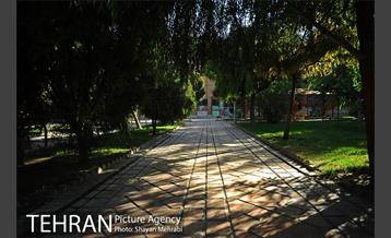 بوستان هنرمندان (ایرانشهر) 10