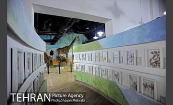 موزه طبیعت و حیات وحش دارآباد تهران 32