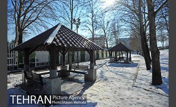 فصل زمستان در بوستان ملت 42