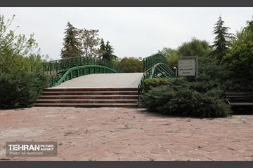 بوستان بانوان نرگس 14
