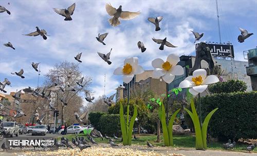 استقبال از بهار - 4 1