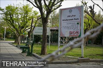 روز طبیعت در بوستان هاى منطقه ٥