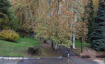 طبیعت پاییزی مجموعه فرهنگی تاریخی سعدآباد  7