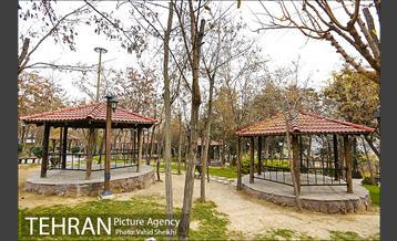 باغ راه فدک 14