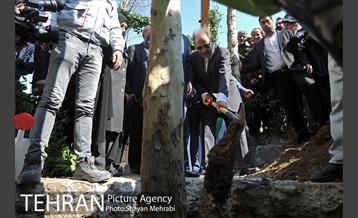 احیای درختان خیابان  ولیعصر( عج) با حضور شهردار تهران  26