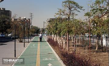 به وقت خدمت؛ باغ‌راه حضرت زهرا(س) محدوده آیت الله سعیدی 17