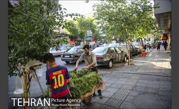 شهرنگار؛ سلسبیل 5