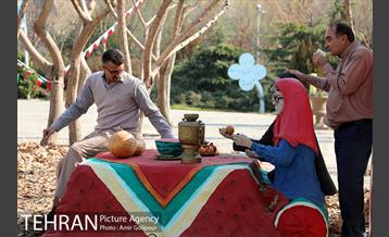 برپایی سفره شب یلدا در بوستان جوانمردان ایران 9