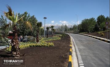 صدوبیست و دومین پویش امید و افتخار 36