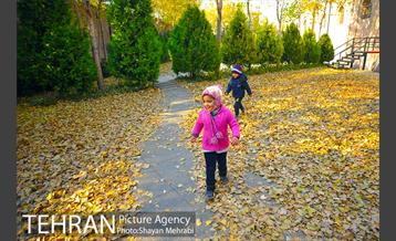 پاییز باغ موزه قصر 7