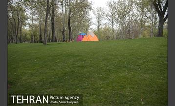 روز طبیعت بارانی در بوستان ملت 5