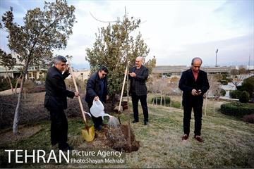 کاشت شش نهال درخت زیتون با حضور کارگرداران سینمای ایران 15