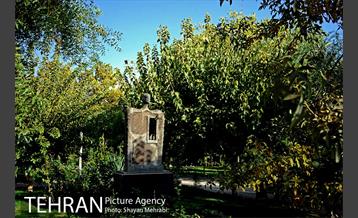 بوستان هنرمندان (ایرانشهر) 8