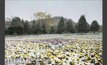 بارش نخستین برف پاییزی تهران 2