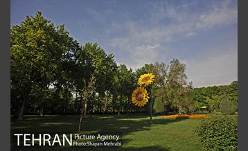 بوستان لاله 19