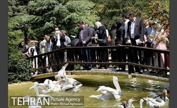 افتتاح اولین "باغچه خبر" در تهران 15