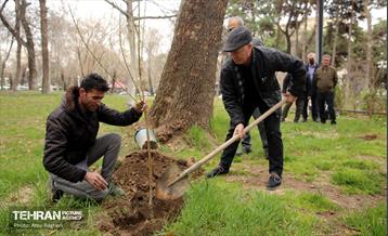 کاشت درخت توسط هنرمندان در فرهنگسرای نیاوران 6