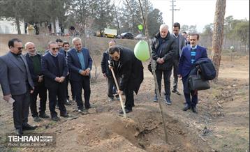 غرس ۲۷۸۲ نهال در سرخه‌حصار به یاد درگذشتگان جامعه پزشکی 20