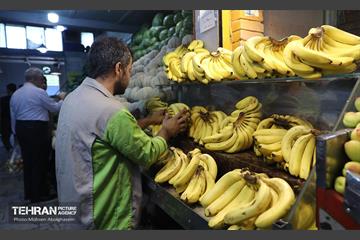 خدمات رسانی بازارهای میوه و تره‌بار 19