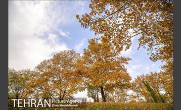 پاییز زیبای پایتخت 12