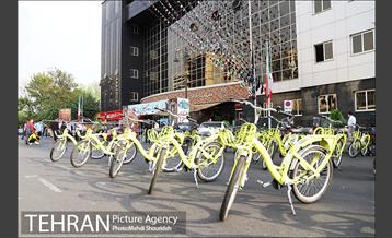 خیابان بدون خودرو در منطقه 7 5