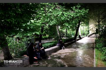 مراسم احیای شب بیست‌وسوم در دانشگاه تهران 39