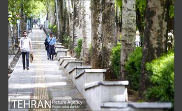 بوستان نیاوران 1