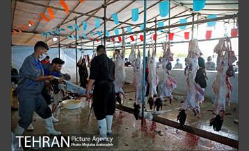 مرکز عرضه دام بهداشتی به مناسبت عید قربان در منطقه 14